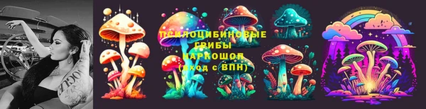 стаф Абдулино
